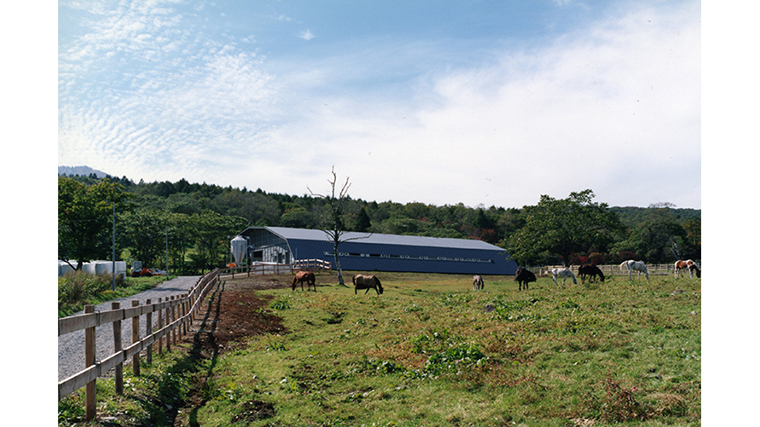 安比高原牧場牛舎
