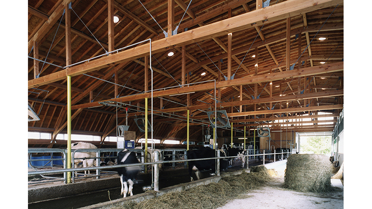 安比高原牧場牛舎